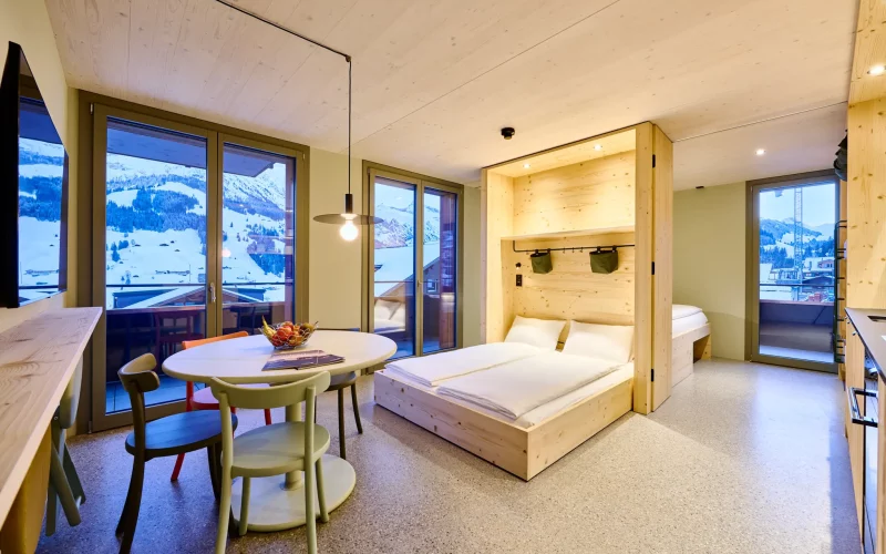 Deluxe Apartment 2